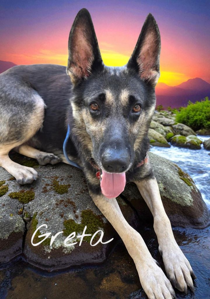 Greta 2