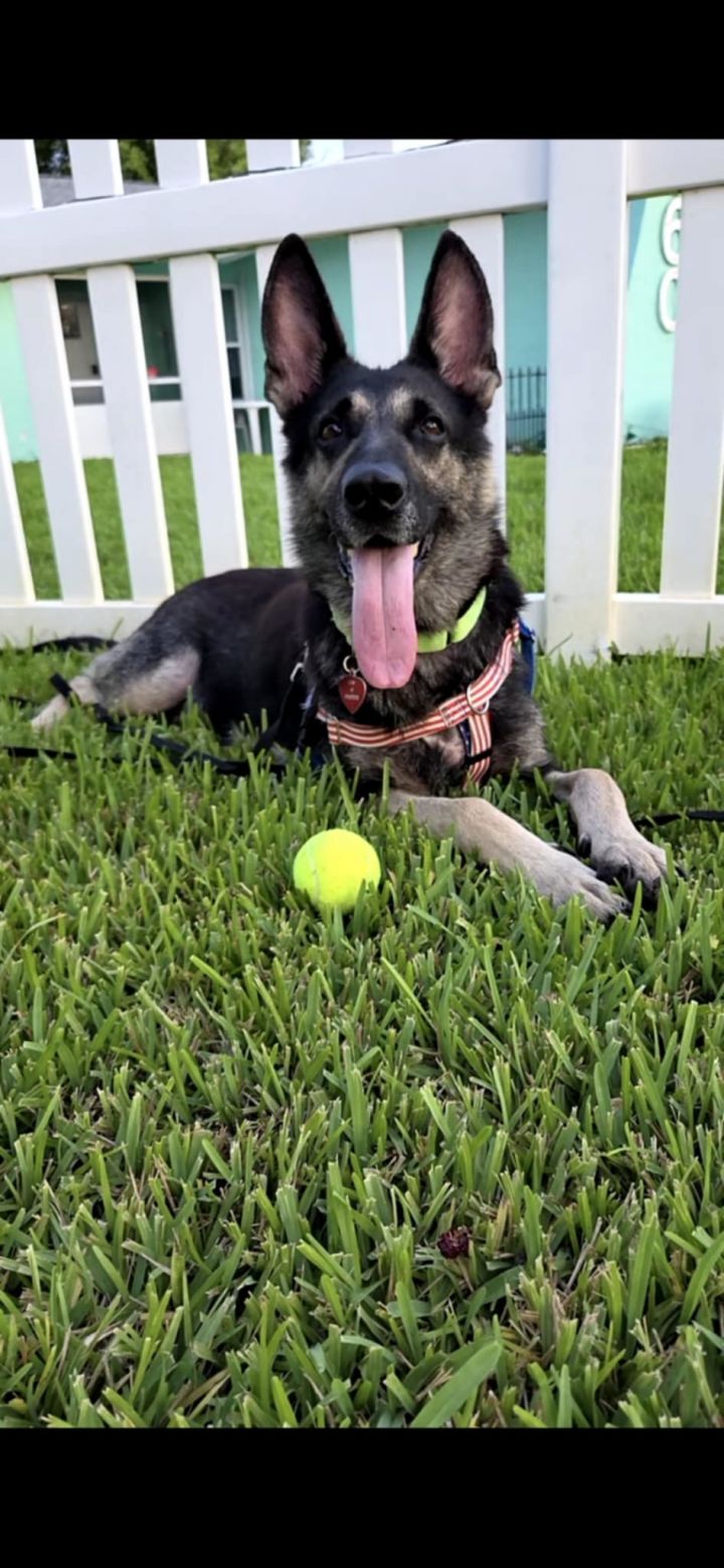 Greta 3