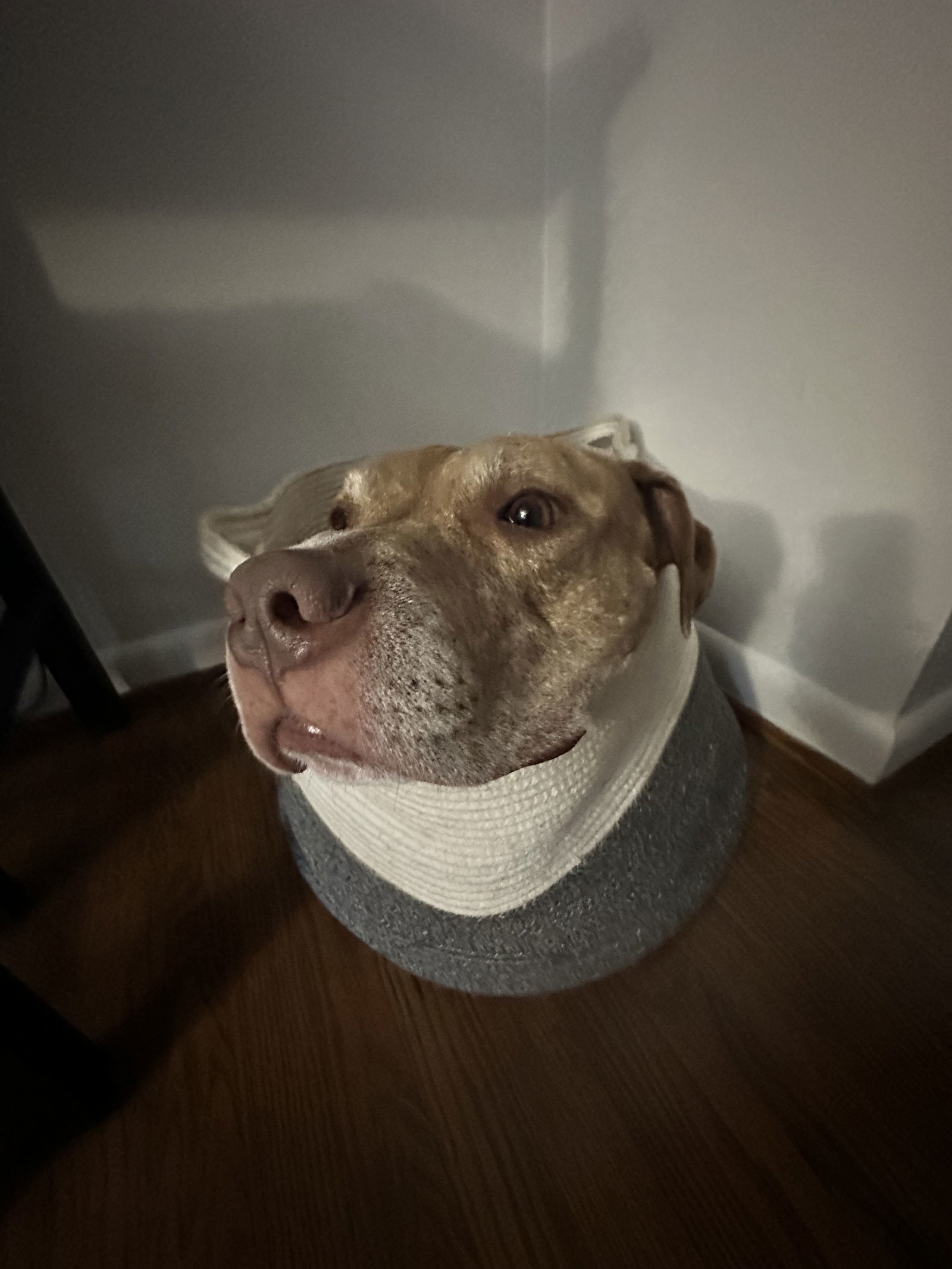 Pablo