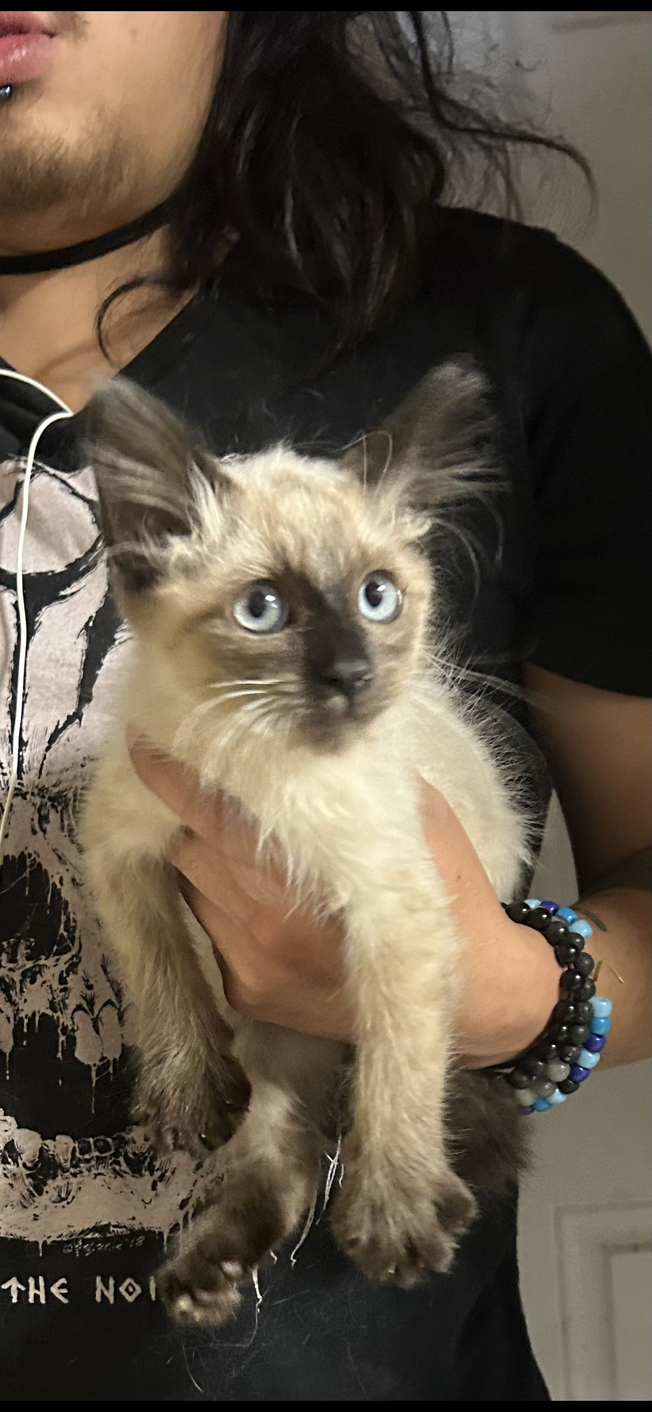 Gumbo