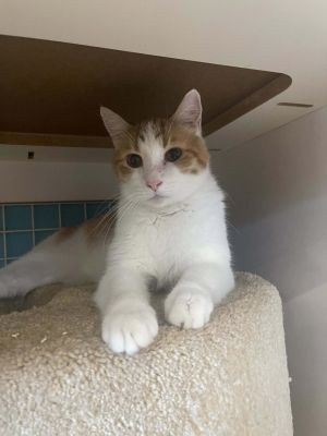 Jeffers, Senior Male unknown