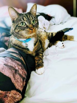 Fiona