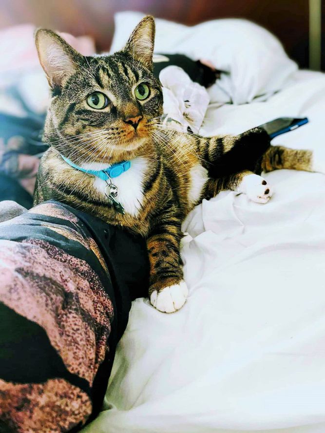 Fiona