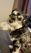 Gina photo 2