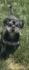 Gina photo 4