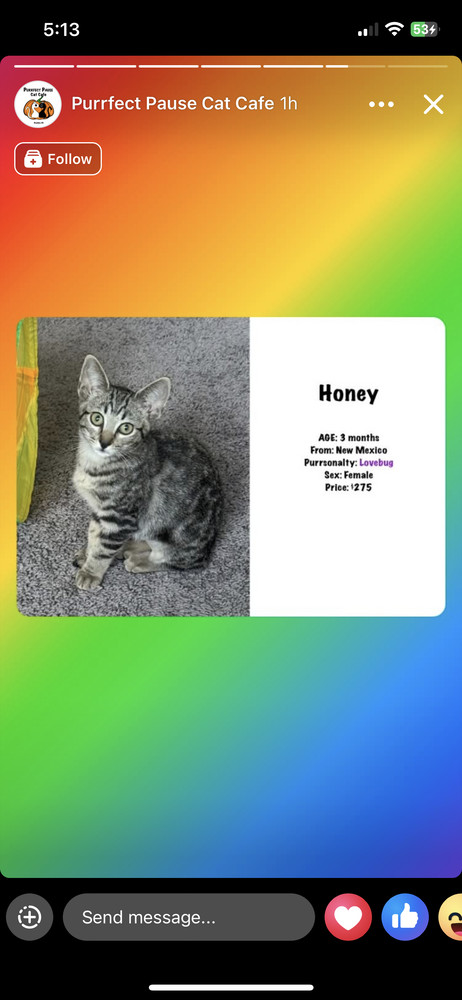Honey