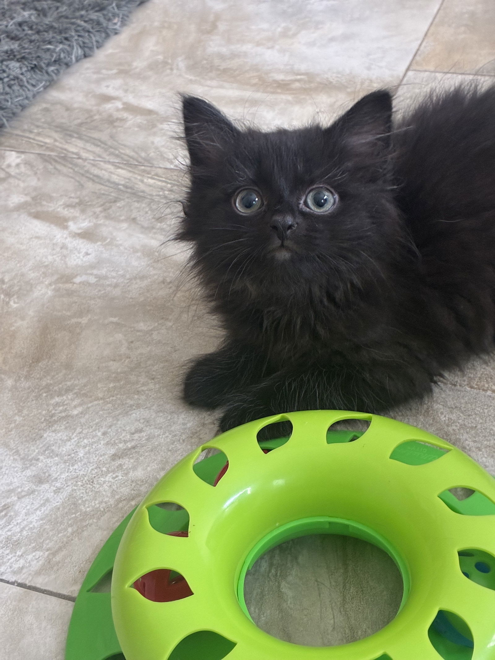 Micah