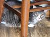 Morty photo 3