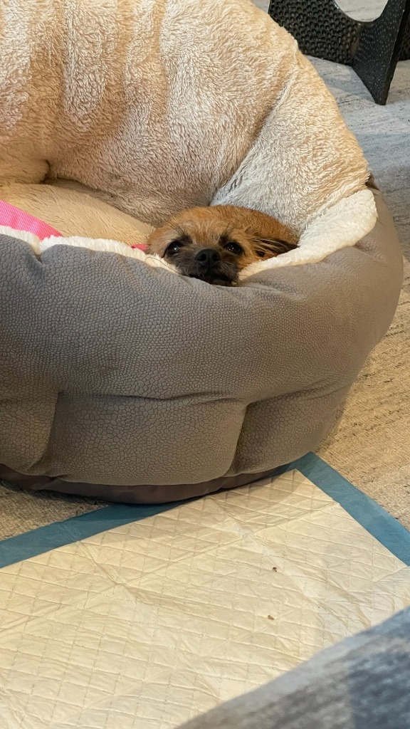 Maggie