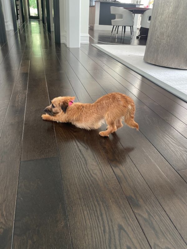Maggie