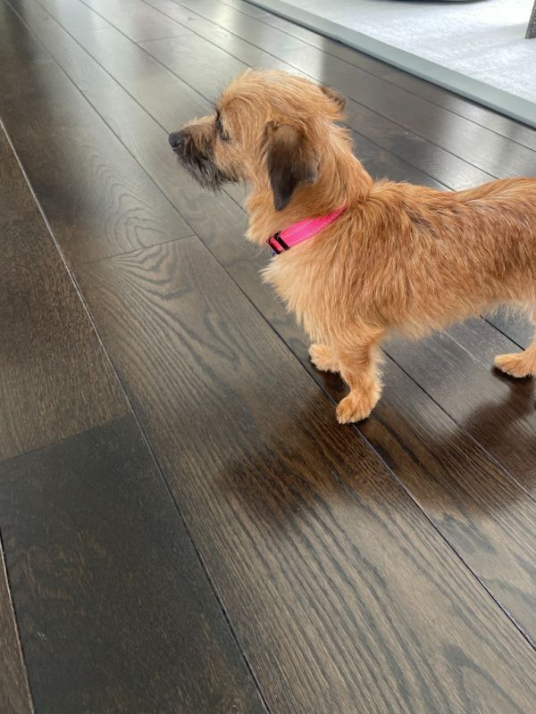 Maggie