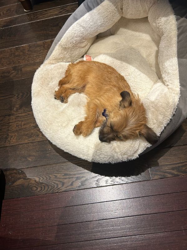 Maggie