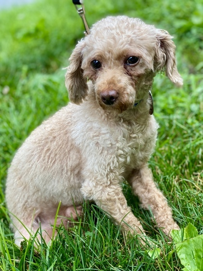Monty