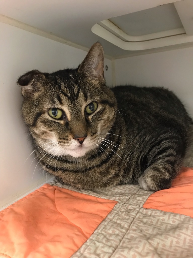 Bruno (pleasant view)