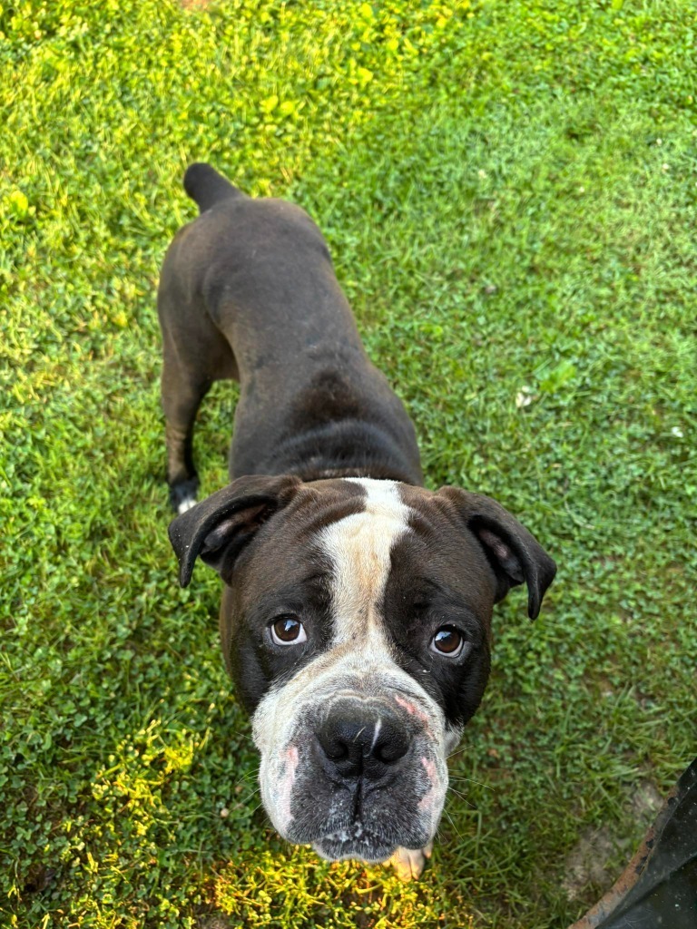 Duke