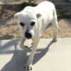 Macy photo 5