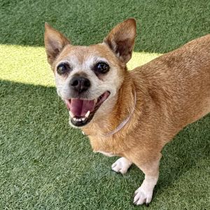 Crayola, Senior Female unknown