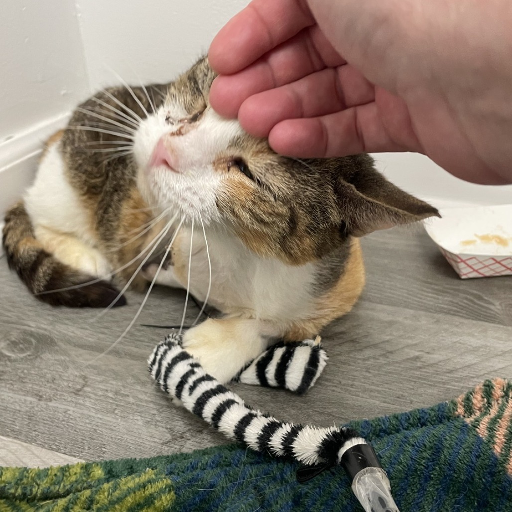 Hera