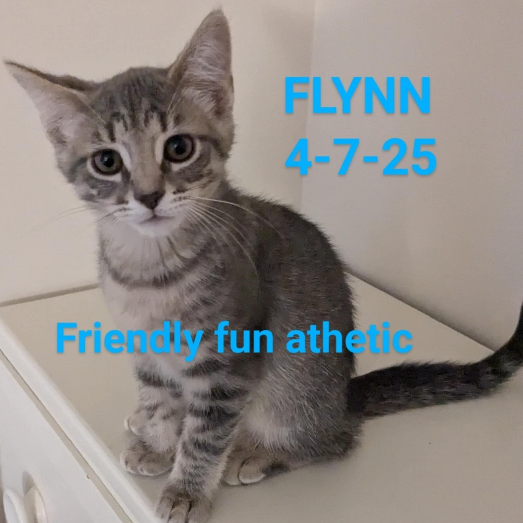 Flynn