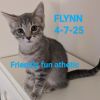 Flynn photo 1