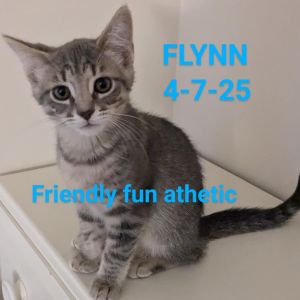 Flynn, Baby Male unknown