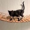 Shadow Cat photo 3