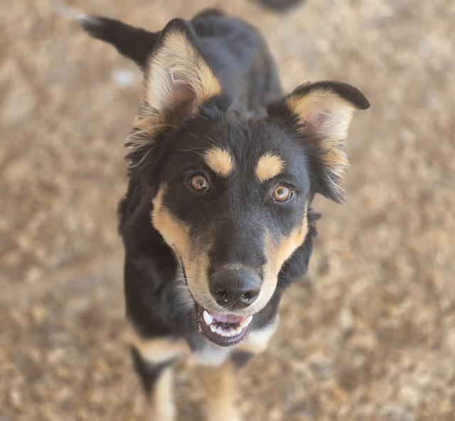 RONAN