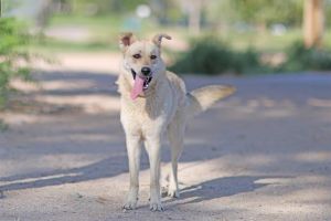 NALA, Young Female unknown