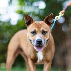 Jazmine, Senior Female unknown