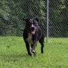 Boone photo 5