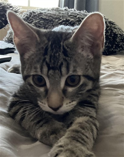 ROSITA