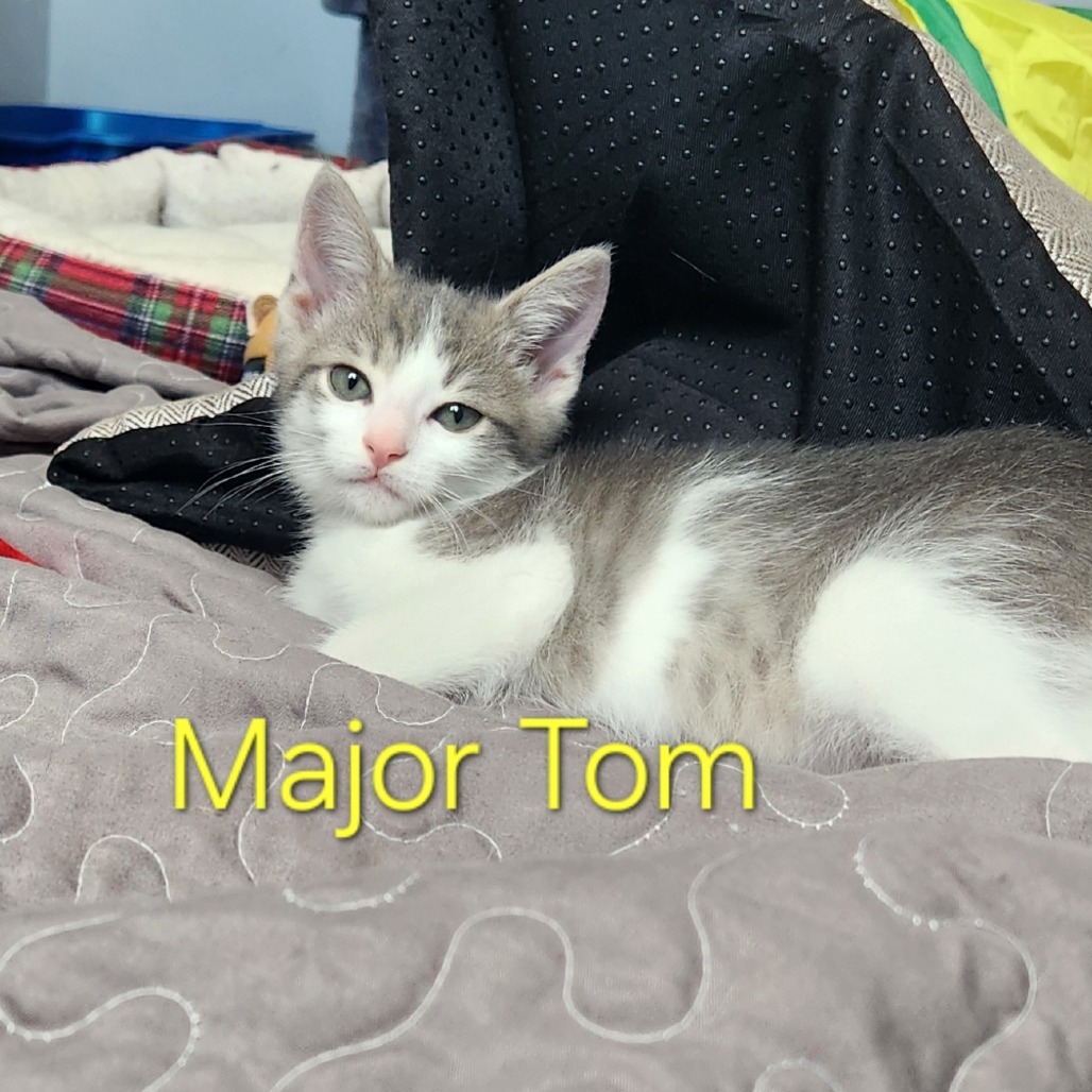 Major Tom