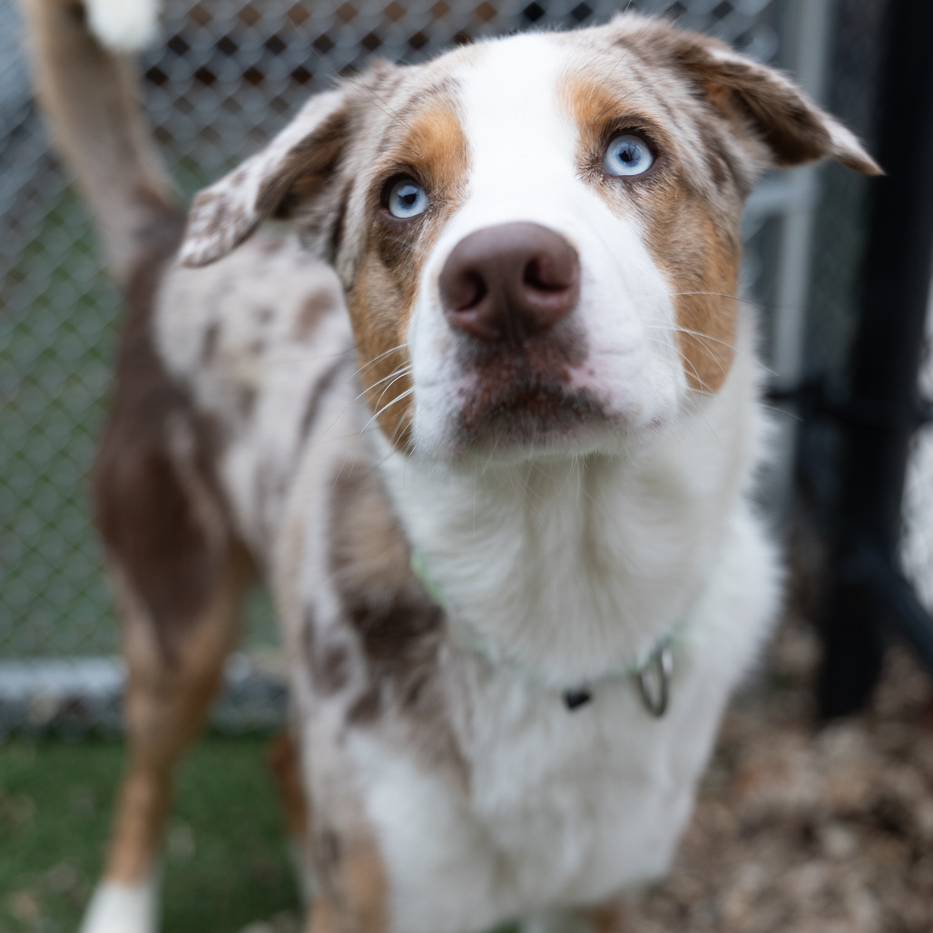 Max
