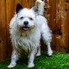 Spud photo 1