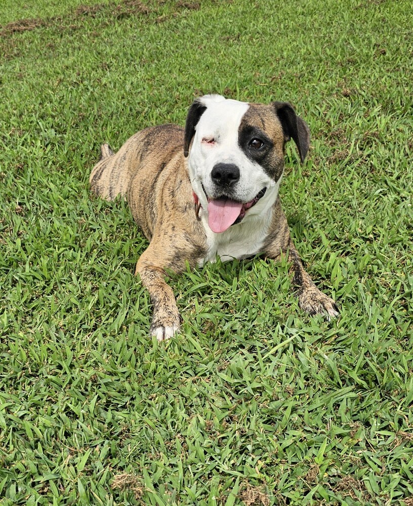 Skye