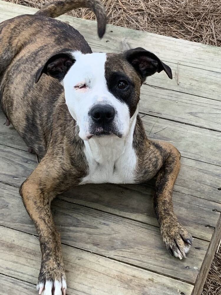 Skye
