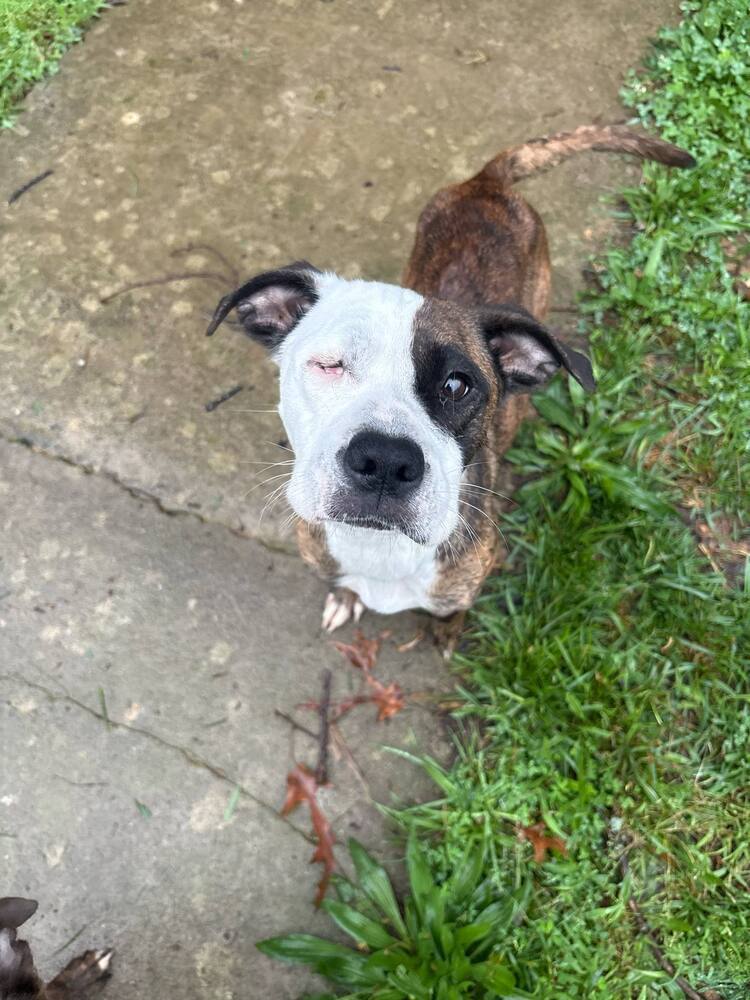 Skye