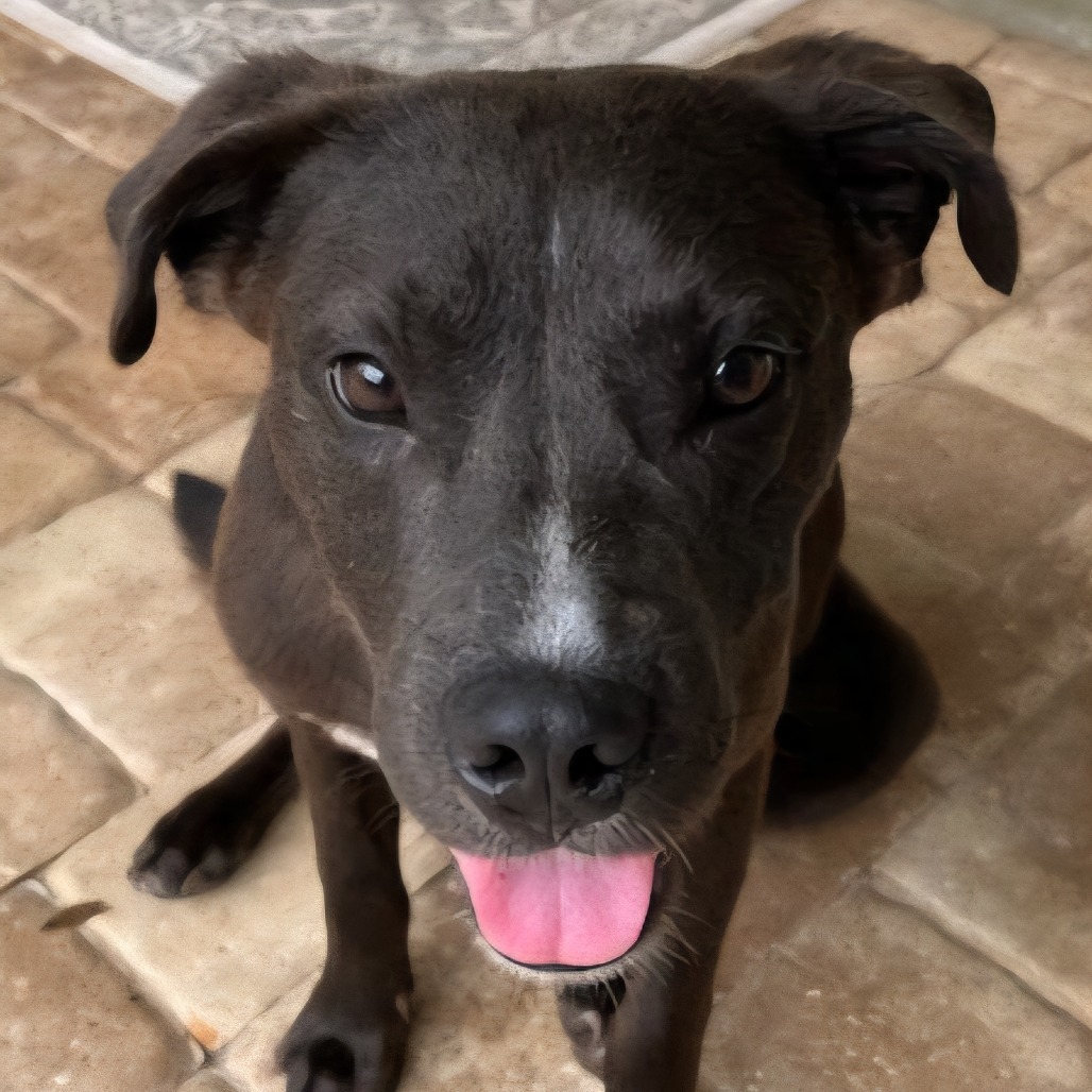 Bolt