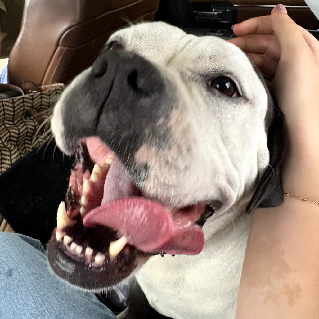 Maisie FKA Princess