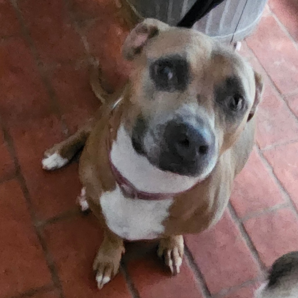 Molly