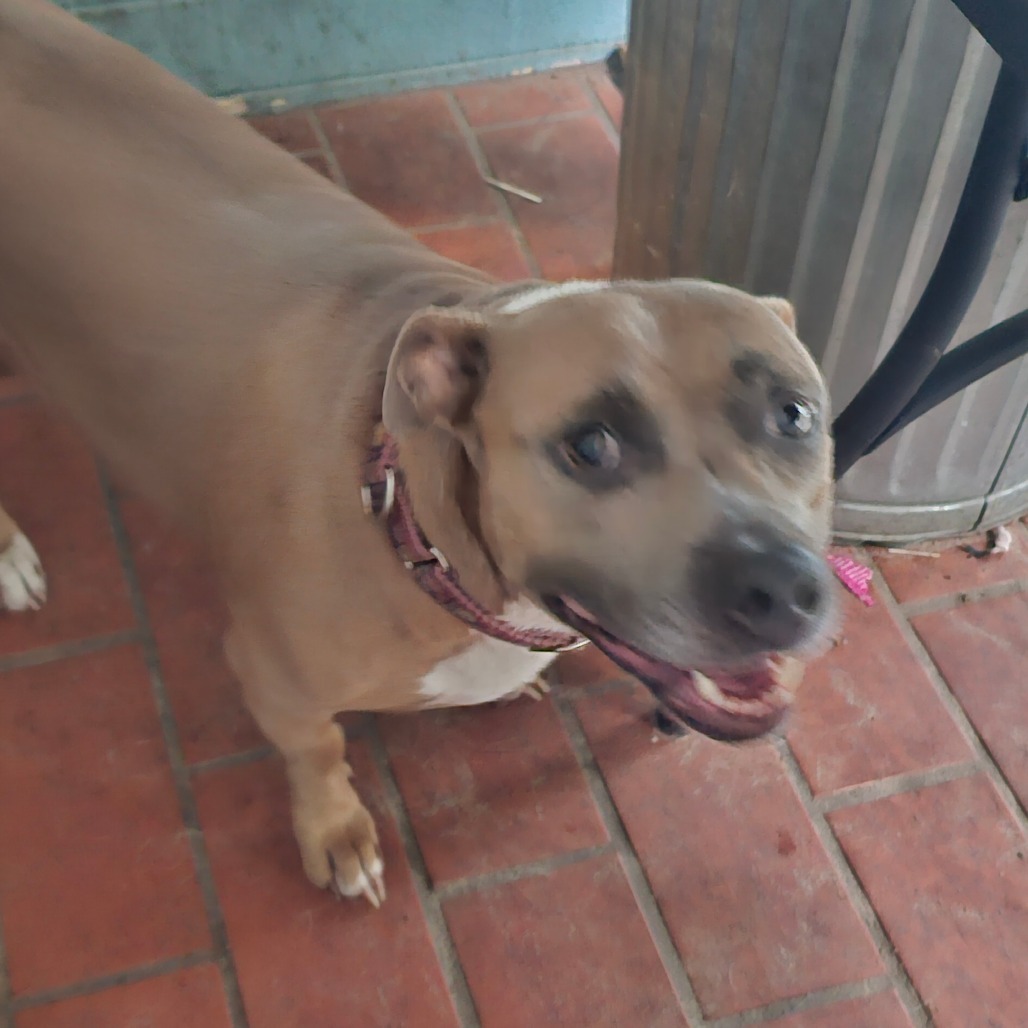 Molly