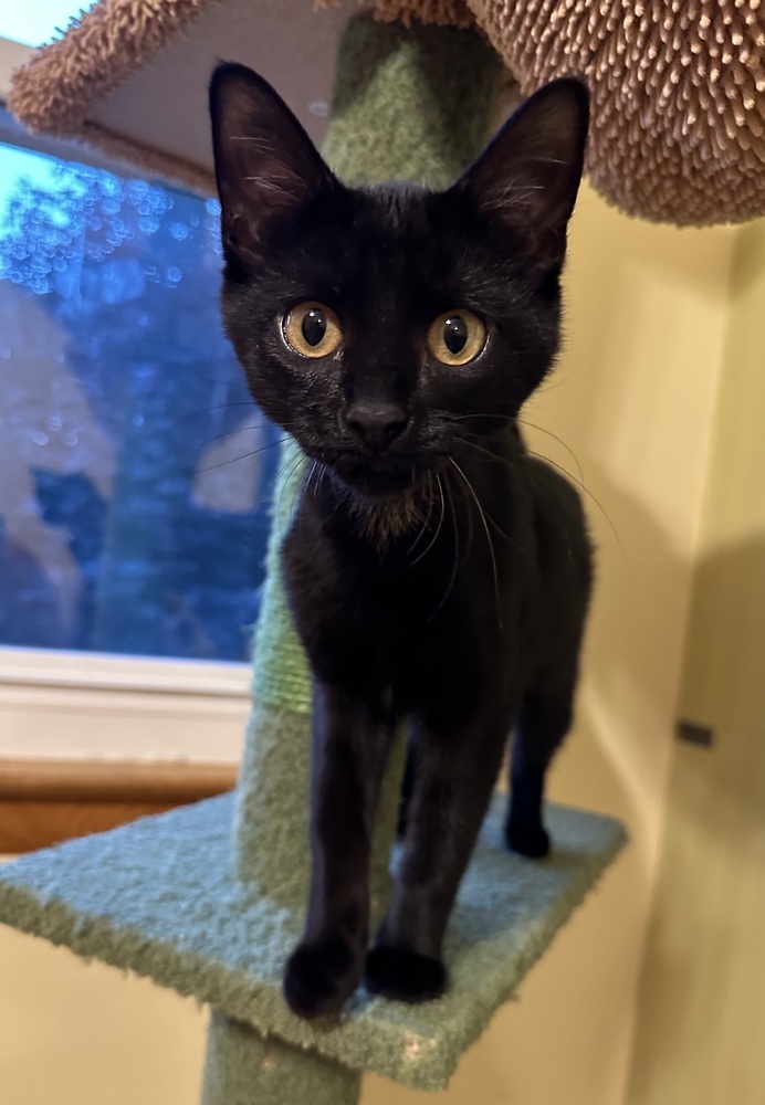 Winifred