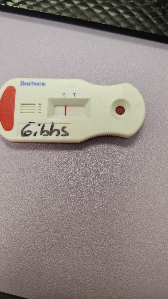 Gibbs