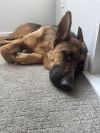 Hans photo 4