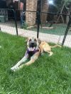 Lillith (Lilly) photo 6