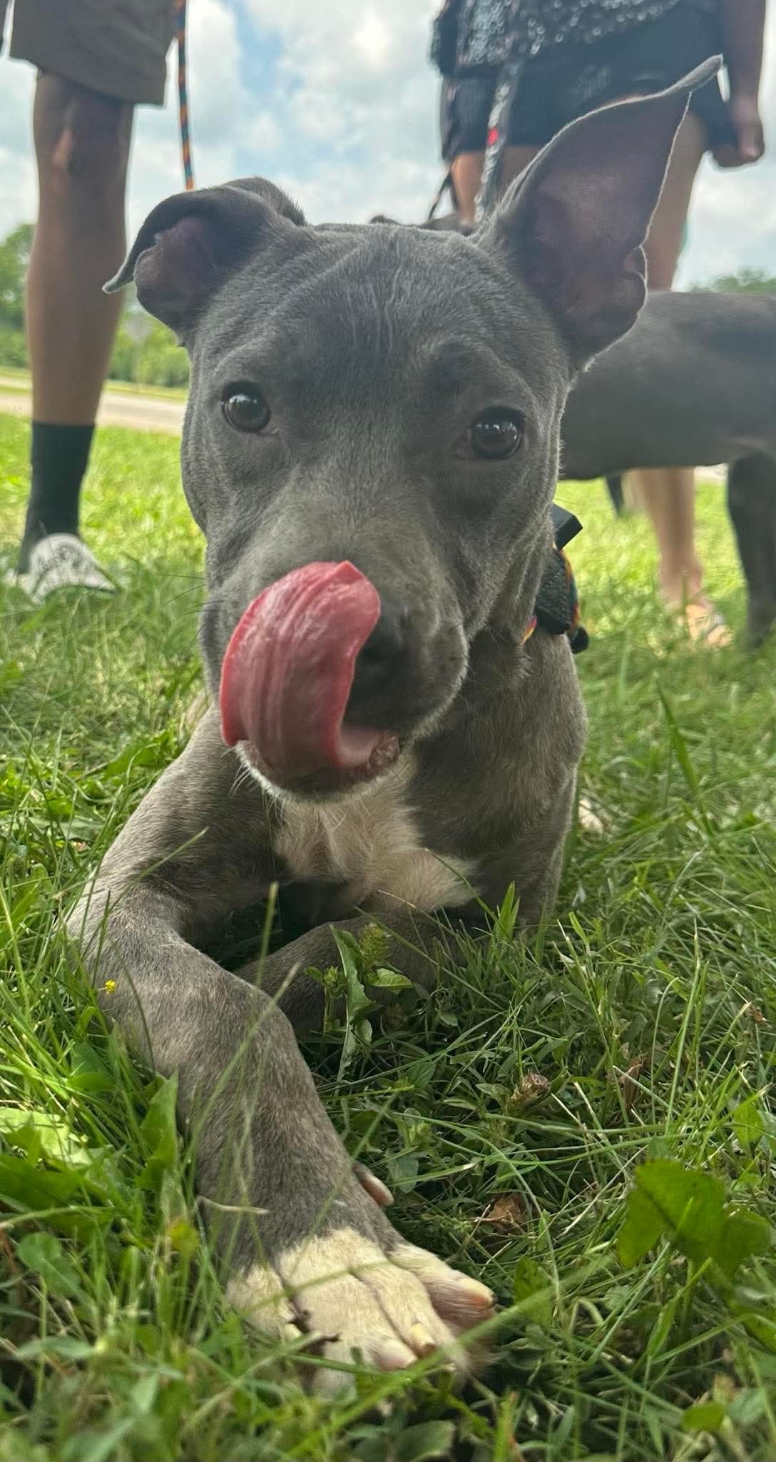 Khaos