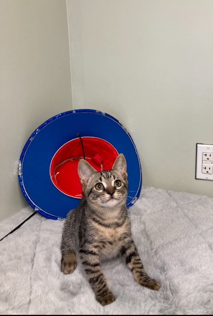 Sid