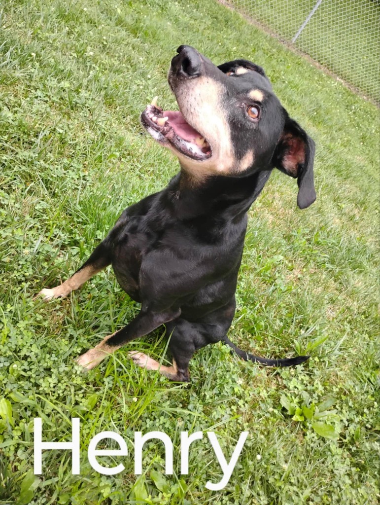 Henry