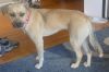 Sherry photo 2