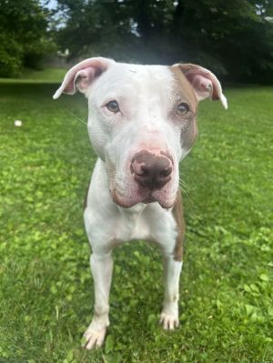 Max - URGENT, Young Male unknown